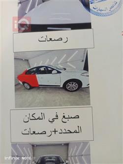 رينو فلوينس